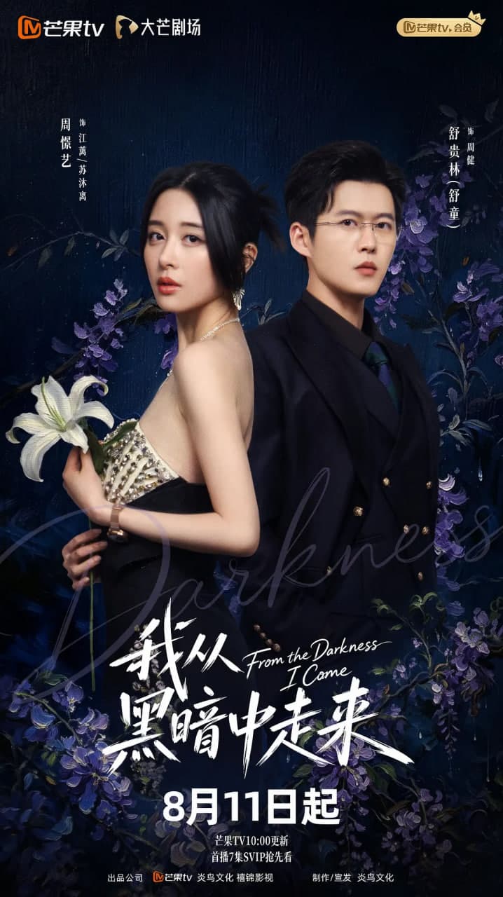 我从黑暗中走来海报