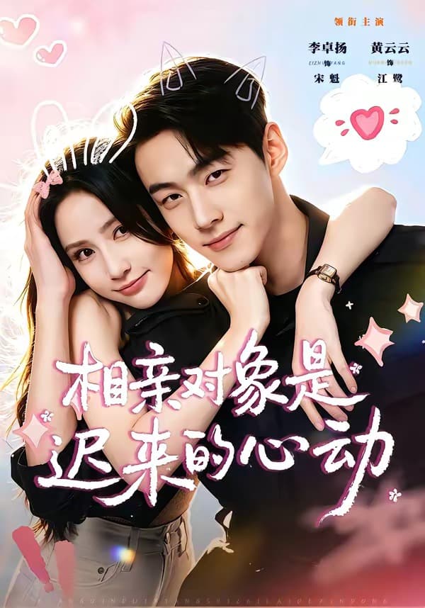 相亲对象是迟来的心动海报