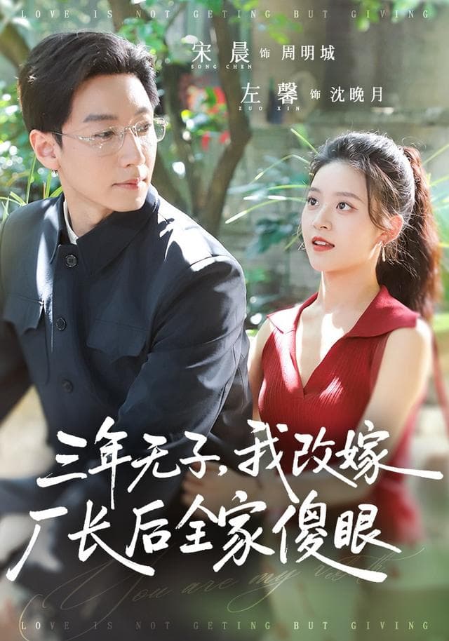 三年无子，我改嫁厂长后全家傻眼了海报