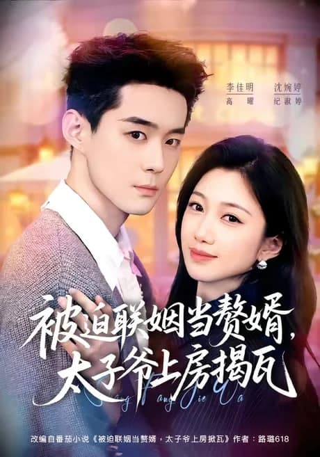 被迫联姻当赘婿，太子爷上房揭瓦海报