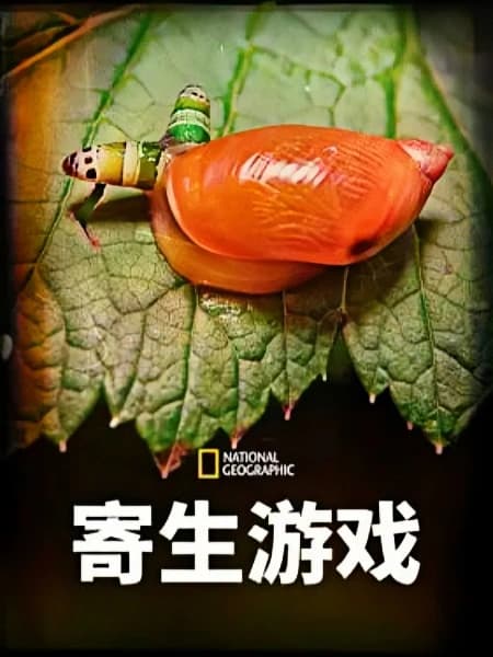 寄生游戏 第一季 国语版海报