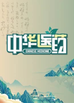 中华医药海报