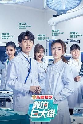 我的白大褂海报