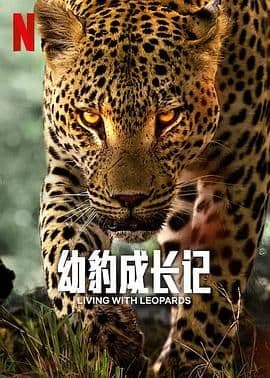 幼豹成长记海报