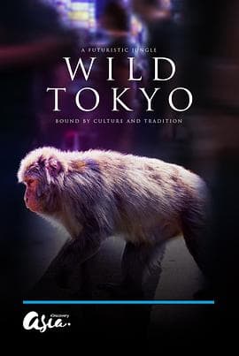 狂野东京海报