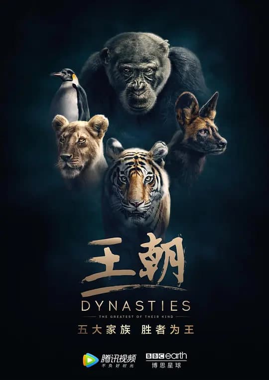 王朝 第一季海报