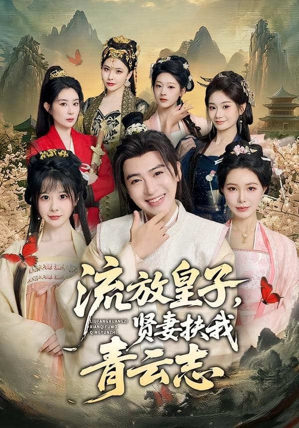 流放皇子，贤妻扶我青云志海报