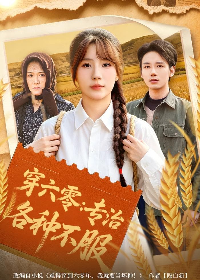 穿六零：专治各种不服海报