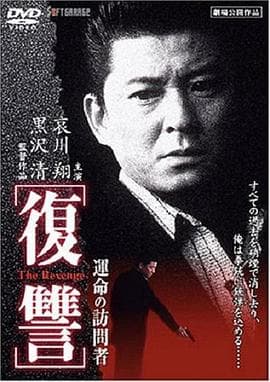 复仇：命运的访问者海报