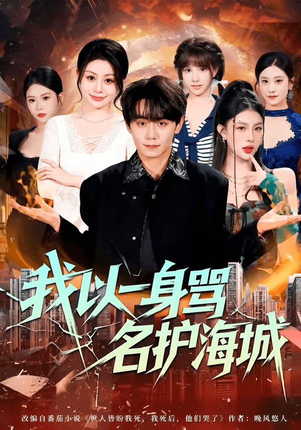 我以一身骂名护海城海报