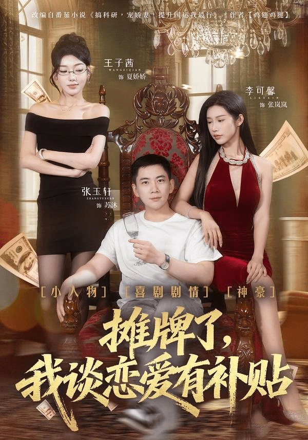 摊牌了，我谈恋爱有补贴海报