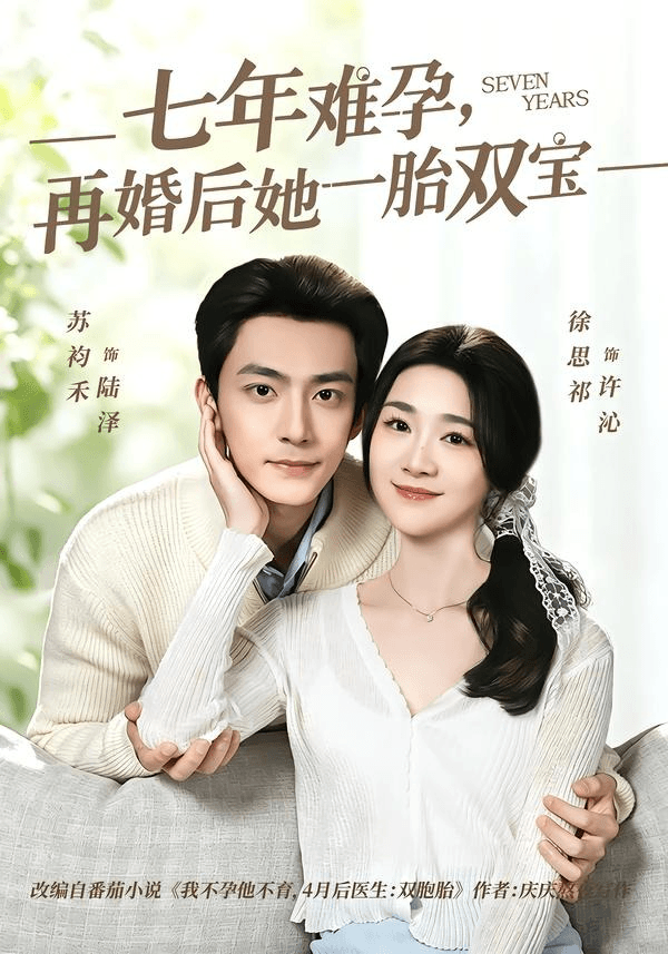 七年难孕，再婚后她一胎双宝海报