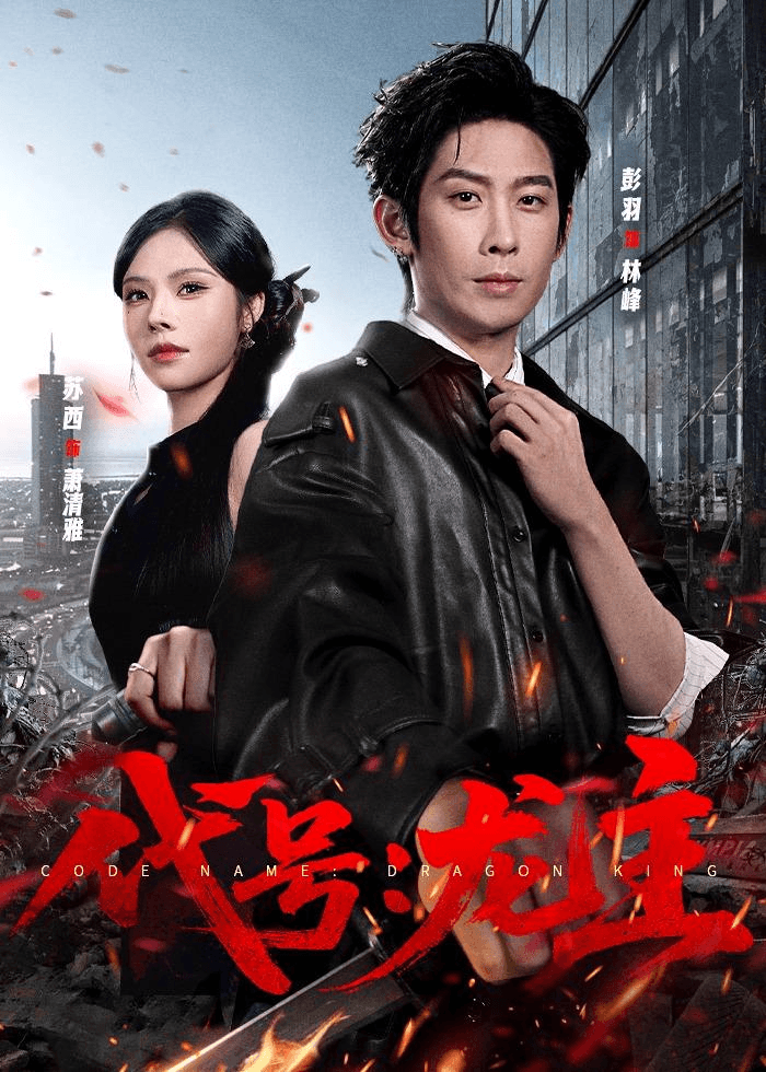 代号:龙主海报