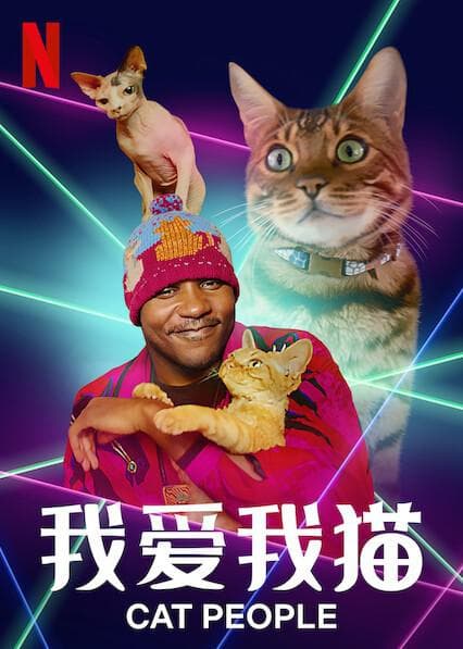 我爱我猫海报