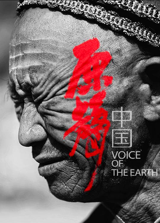 原声中国海报