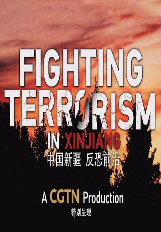 中国新疆反恐前沿海报