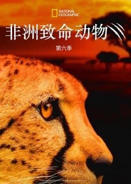 非洲致命动物第六季海报
