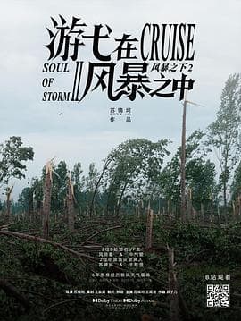 游弋在风暴之中海报